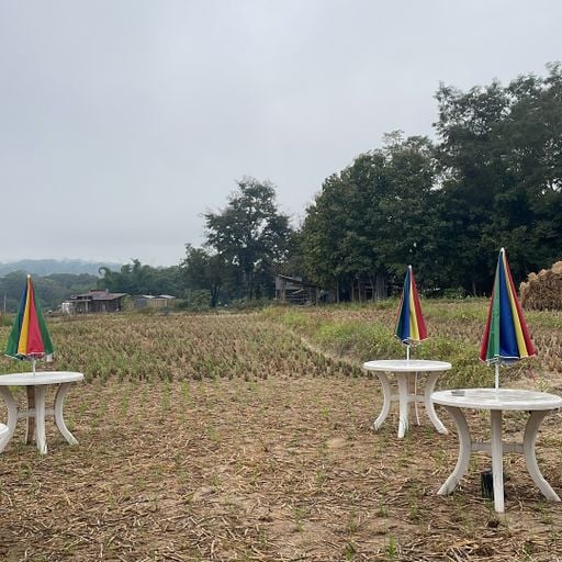 Sound Xpansion - Soundgasm - 25th September 2025