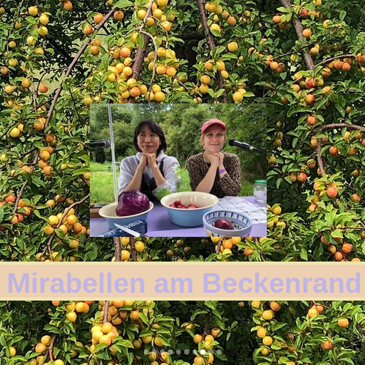 Perlmutt aka Pearlescent #41 Mirabellen am Beckenrand 04.09.2021