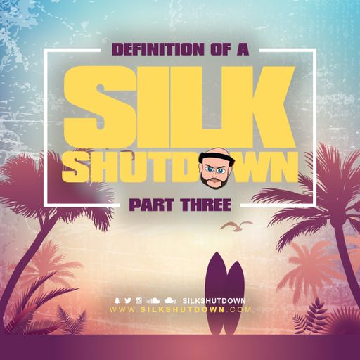 DJ SILK Presents Definition Of A Shutdown 3