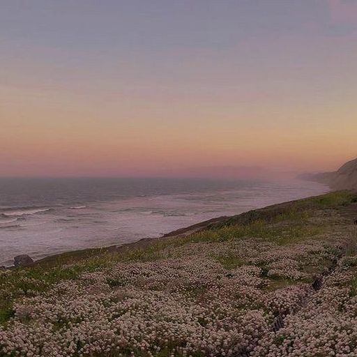 watch my mum dance w/ bbymix - 27th December 2025