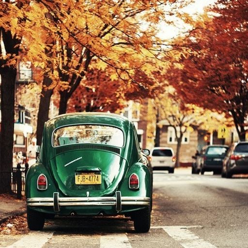 Gistro FM 583 (16/10/2016) 'Tis Autumn