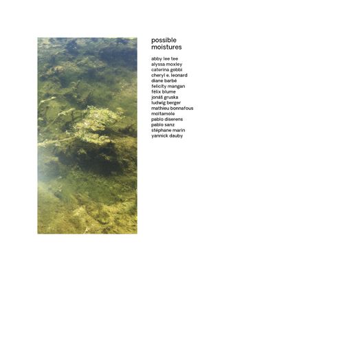 Wanderlust #83: possible moistures 15.11.2021