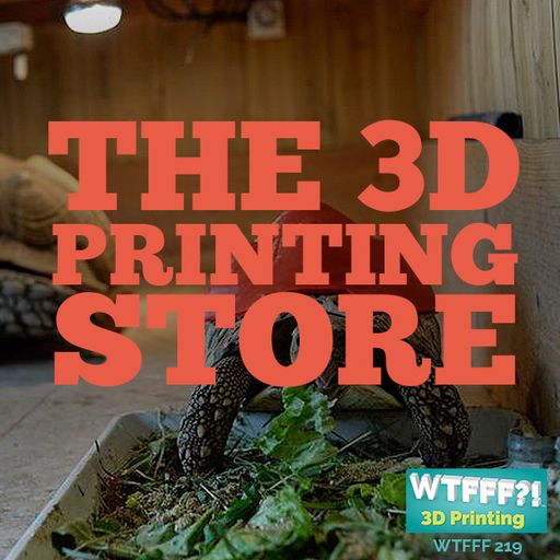 WTFFF 219: The 3D Printing Store with Debra Wilcox of The 3D Printing Store in Denver
