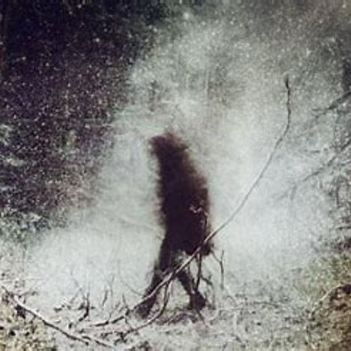 Dreamtasting in Remote Conditions (ProgressiveRock)