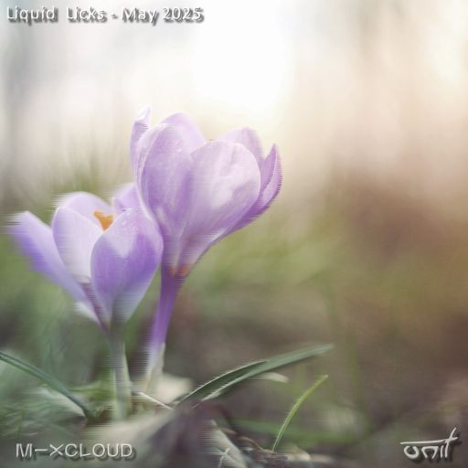 Liquid Licks - May 2025