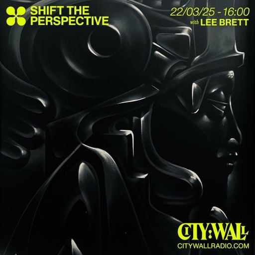 Shift The Perspective w/ Lee Brett - March 2025