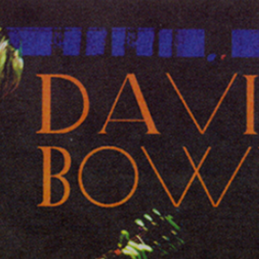 Bowie in Denver ,Pepsi City Of Lights Arena 10 August 2002