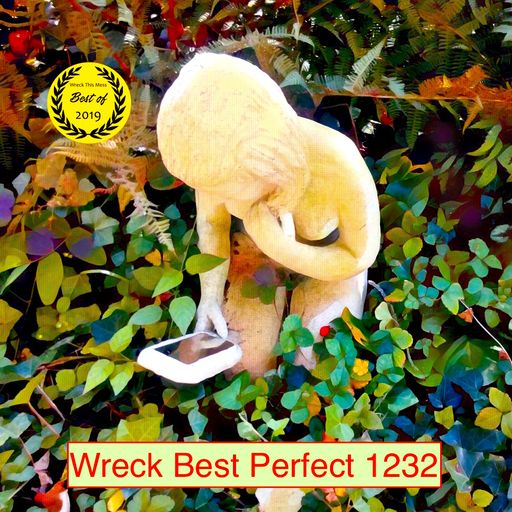 Wreck Best Perfect 1232