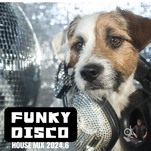 Funky Disco House Mix 2024.6