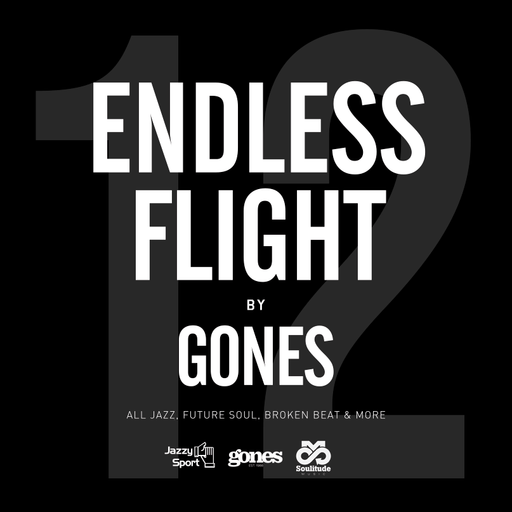 ENDLESS FLIGHT #12 (Jan. '21)