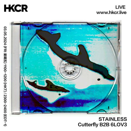 STAINLESS w/ Cutterfly B2B 6LOV3 - 03/05/2024