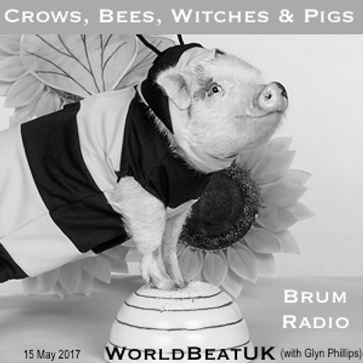 WorldBeatUK with Glyn Phillips - Crows, Bees, Witches & Pigs (15/05/2017)