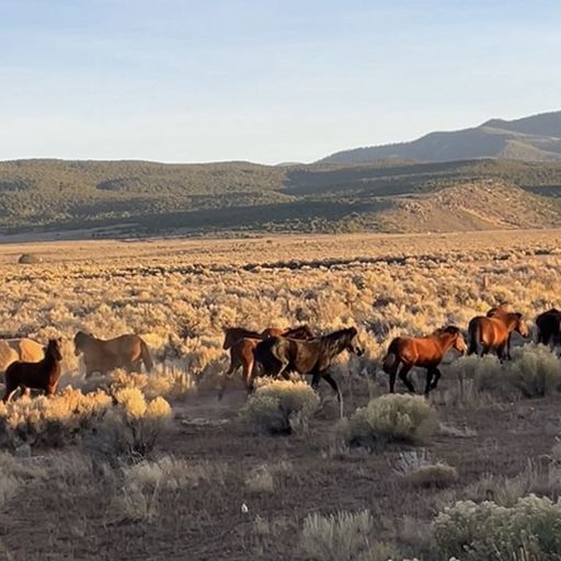 All About Our Love w/ Harriet Brown - 28th November 2025