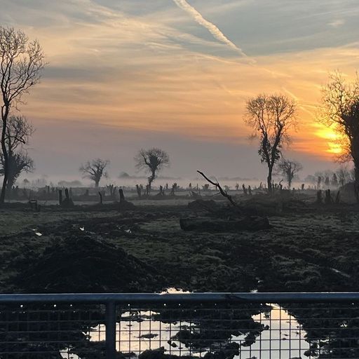 The Slip - 19th April 2026