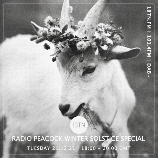 Radio Peacock Winter Solstice Special - 21.12.2021