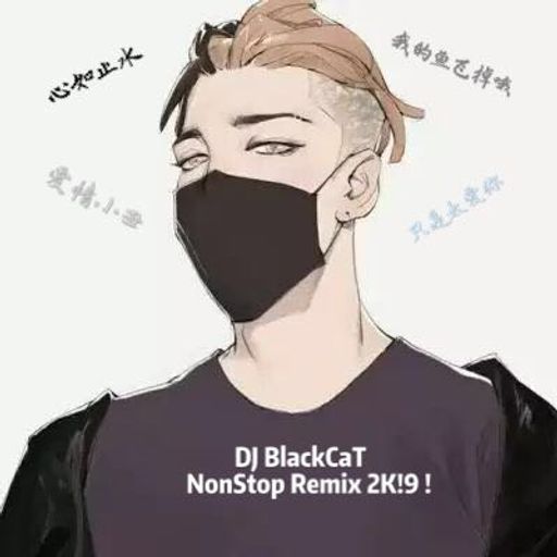 【心如止水 ' 我的鱼飞掉哦 ' 爱情小丑 ' 只是太爱你】NonStop Remix By DJ BlackCaT 2K!9 RemiX !