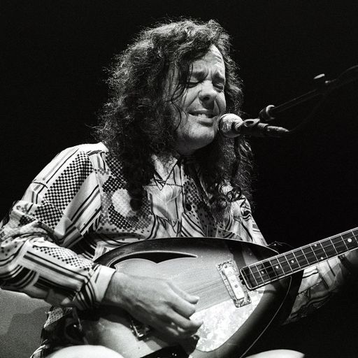 SESSIONEERS (16) - David Lindley