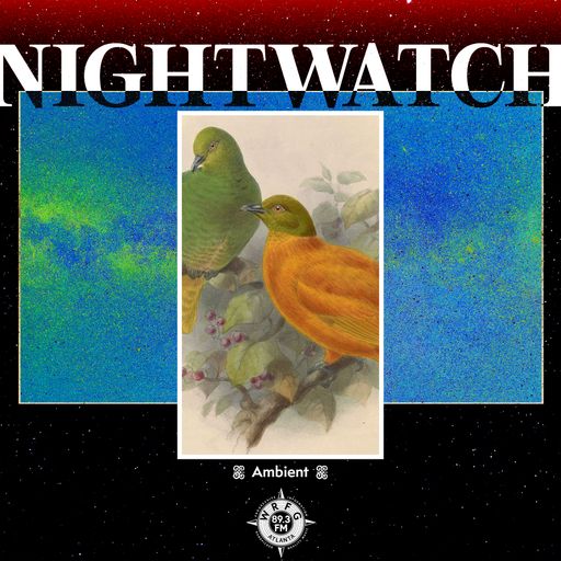 Night Watch: Ambient with Elijah - 14 May 2026