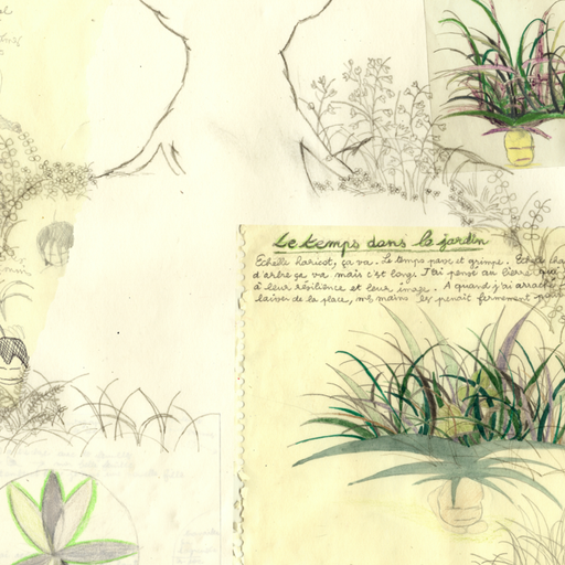 Radia #1063 - Brouillon Jardin, Jardin Brouillon by Sophie Courge-Pinna - 11 December 2025