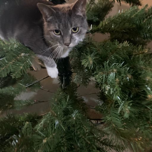 Verna's Mix!!!! Brother Love's Deep Grooves from the Grove