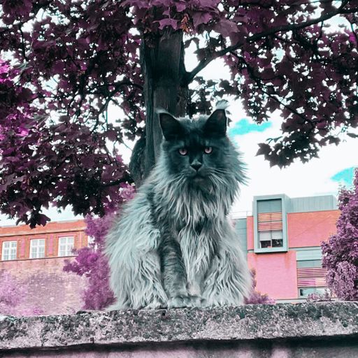 Off-Piste w/ Dan Cook - 26/06/23