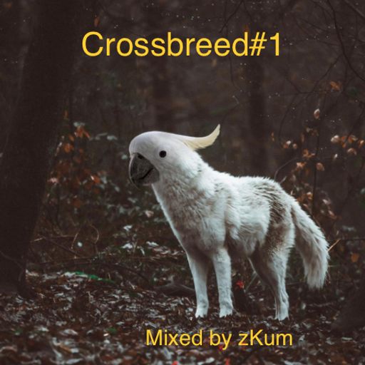 CrossBreed #1