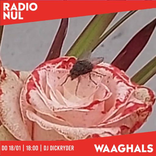 Dj Dickryder "Vlieg Op Roos" / 19-01-24