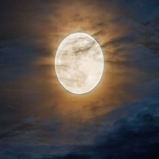 DRiiiMZ	Melodic Moon vol 1