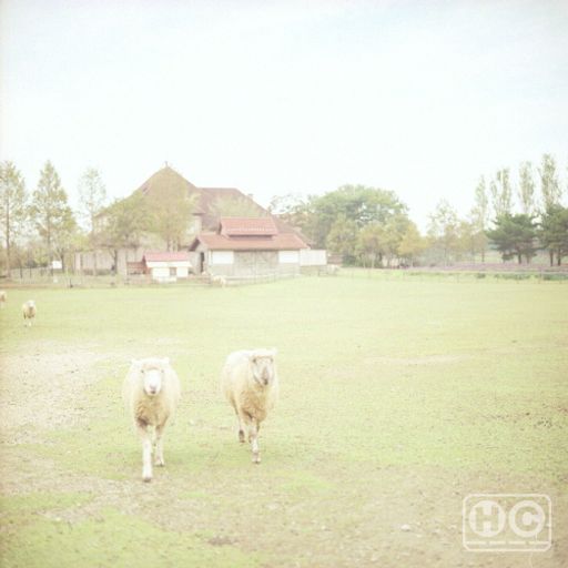 Gurun Gurun - Home Normal Mix