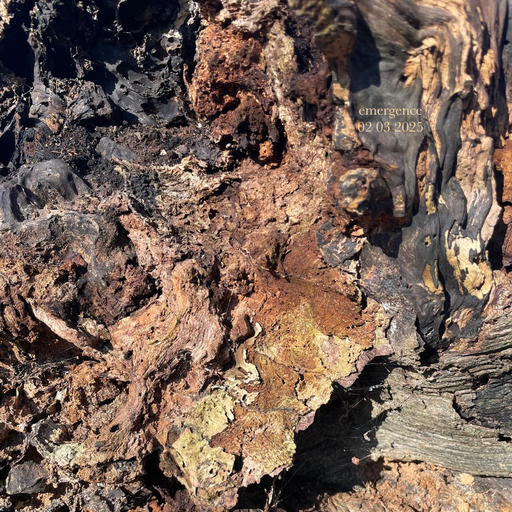 emergence w/ dtyb - 02/03/25 - [Voices Radio]