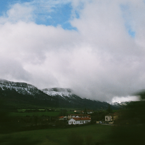 Image Search - 15th January 2026