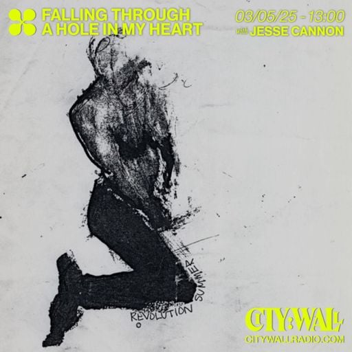 Falling Through A Hole In My Heart w/ Jesse Cannon - May 2025