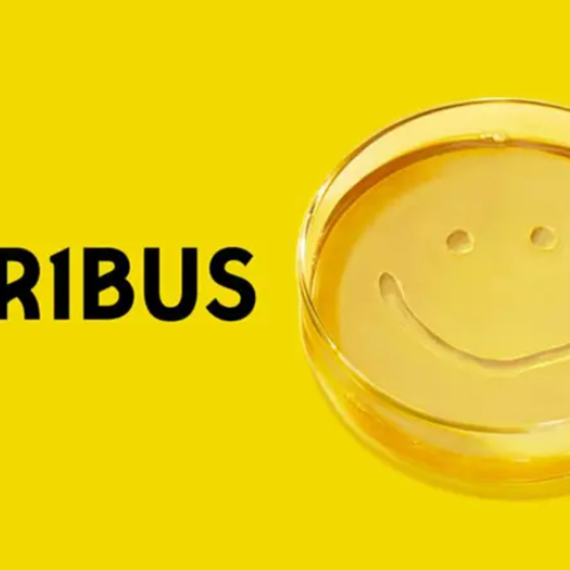 Pluribus Soundtrack by Various Artists