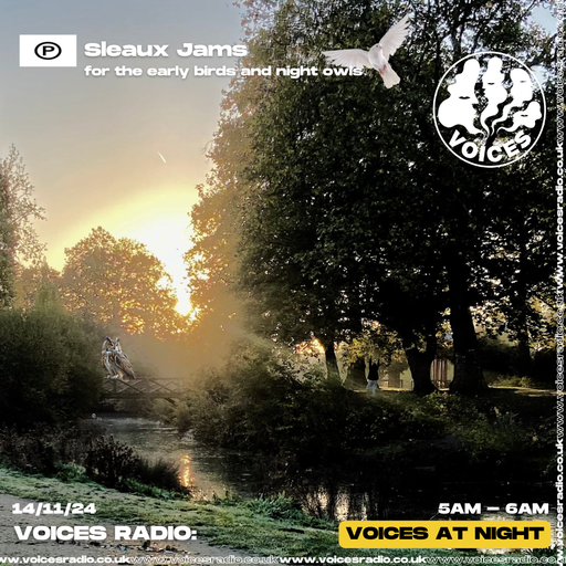 Sleaux Jams - 14/11/24 - Voices Radio