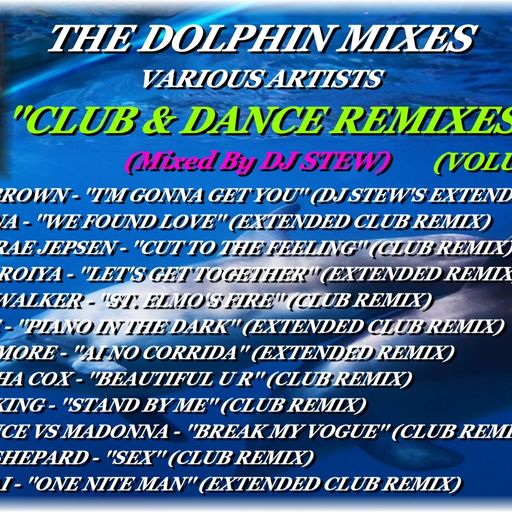 THE DOLPHIN MIXES - VARIOUS ARTISTS - ''CLUB & DANCE REMIXES'' (VOLUME 40)