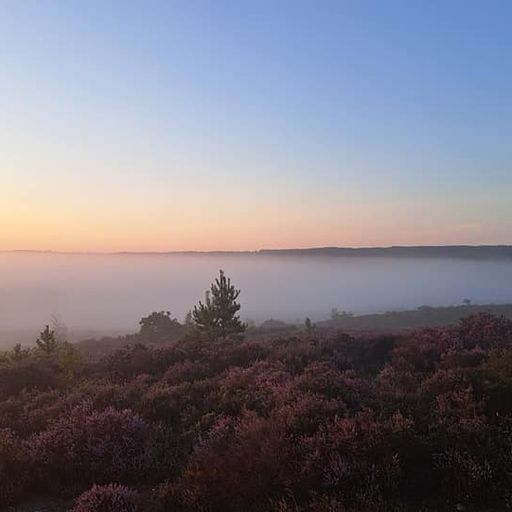 Warm eclectic physical format vibes: Archive