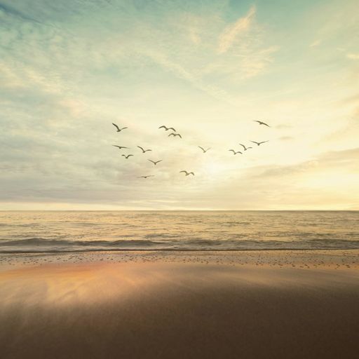 Naviar Broadcast #308 - What’s a Month for the Sea - 28th February 2024