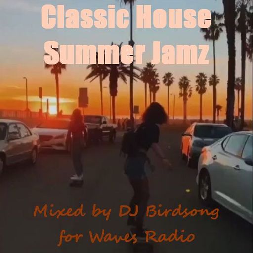 DJ BIRDSONG for Waves Radio #6 - Classic House Summer Jamz