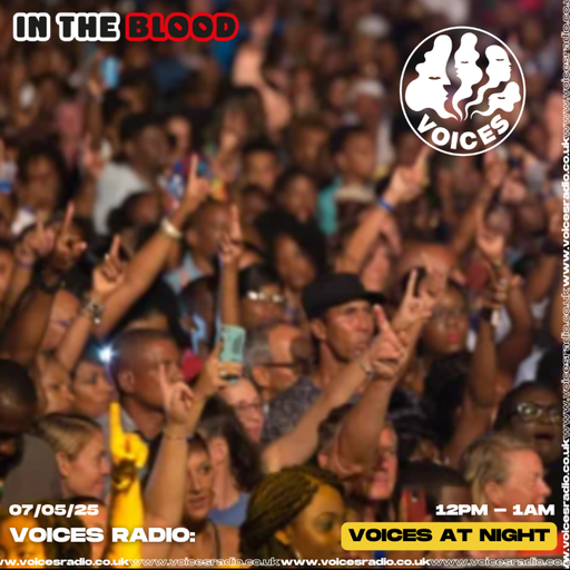 In The Blood - Soulful Jungle DnB Mix - 07/05/25 - [Voices Radio]