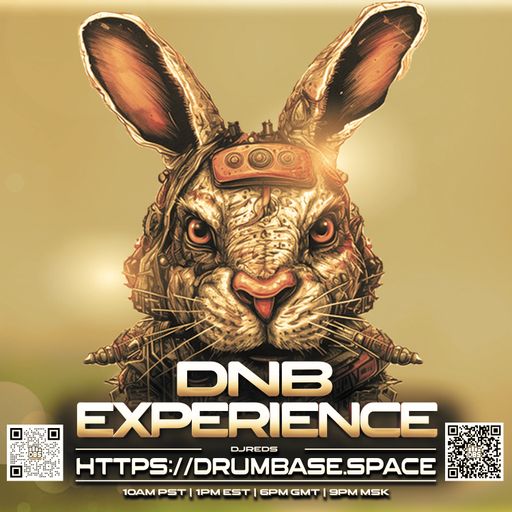 dnb experience 30032024