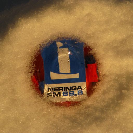 Neringos sekretas vol. 25 (2011-03-01)