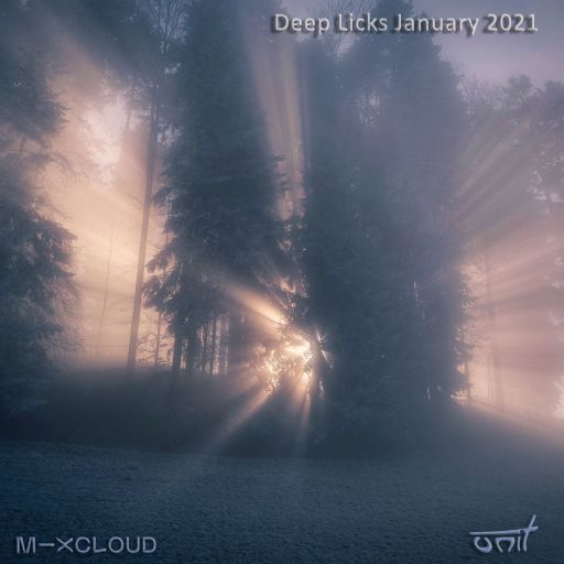 Deep Licks - January 2021
