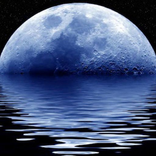 Reality Dysfunction (TimeTravel)