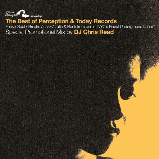 Best of Perception & Today Records (BBE Release)