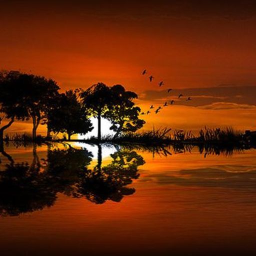 עוד יום 487 - תוכנית הבוקר ים יובל יוספסון - 14.6.20