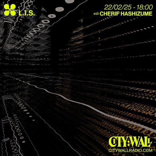 L.I.S. w/ Cherif Hashizume - February 2025