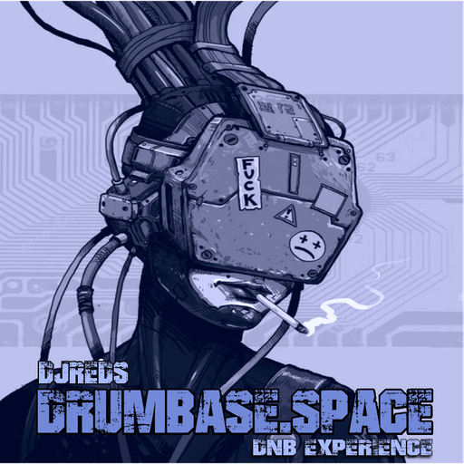 dnb experience 23112019