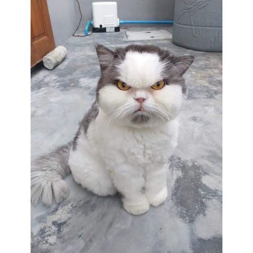 『Alvin Soon'專屬』【陳雪凝_-_灰姑娘 X 袁小葳_-_我的名字 X 陳雪凝_-_那個傻瓜】RMX 2020 PR!VATE MANYA0 N0NST0P BY DJ'YE