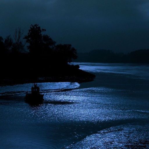 Floating Through Moonlight