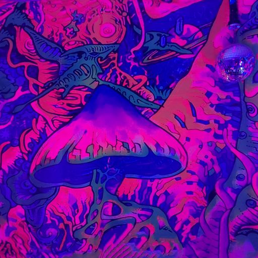 Freaks off the leash - Xelements & BPMG (30/09/23)